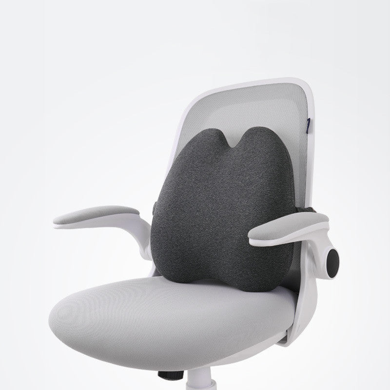 Coussin Lombaire Ergonomique